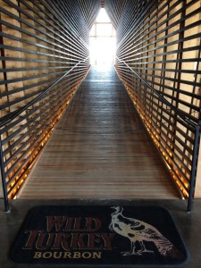 Wild Turkey Cathedral